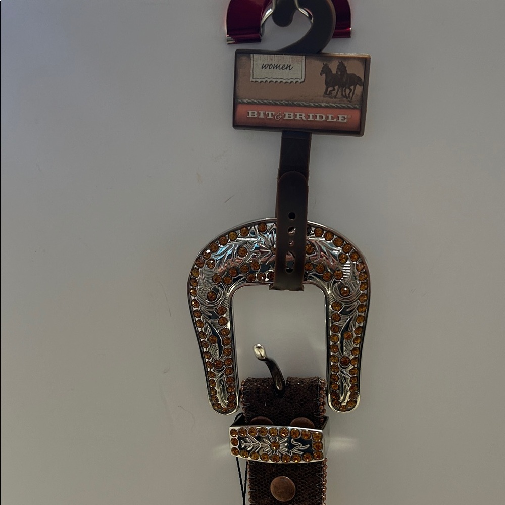 Bit & Bridle Silver and Brown Horseshoe Women’s XL Belt